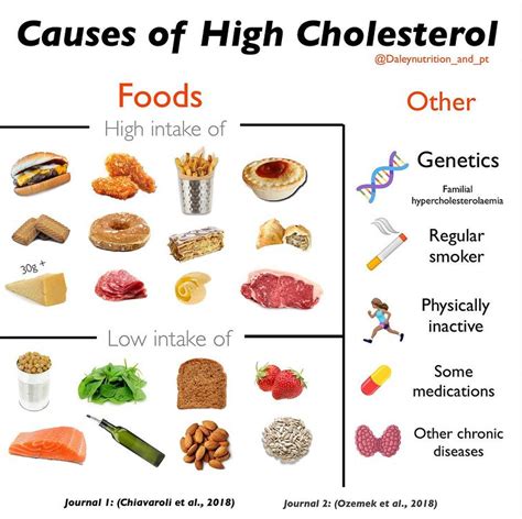 does food affect cholesterol levels